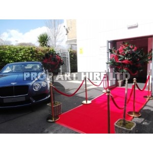 VIP treatment